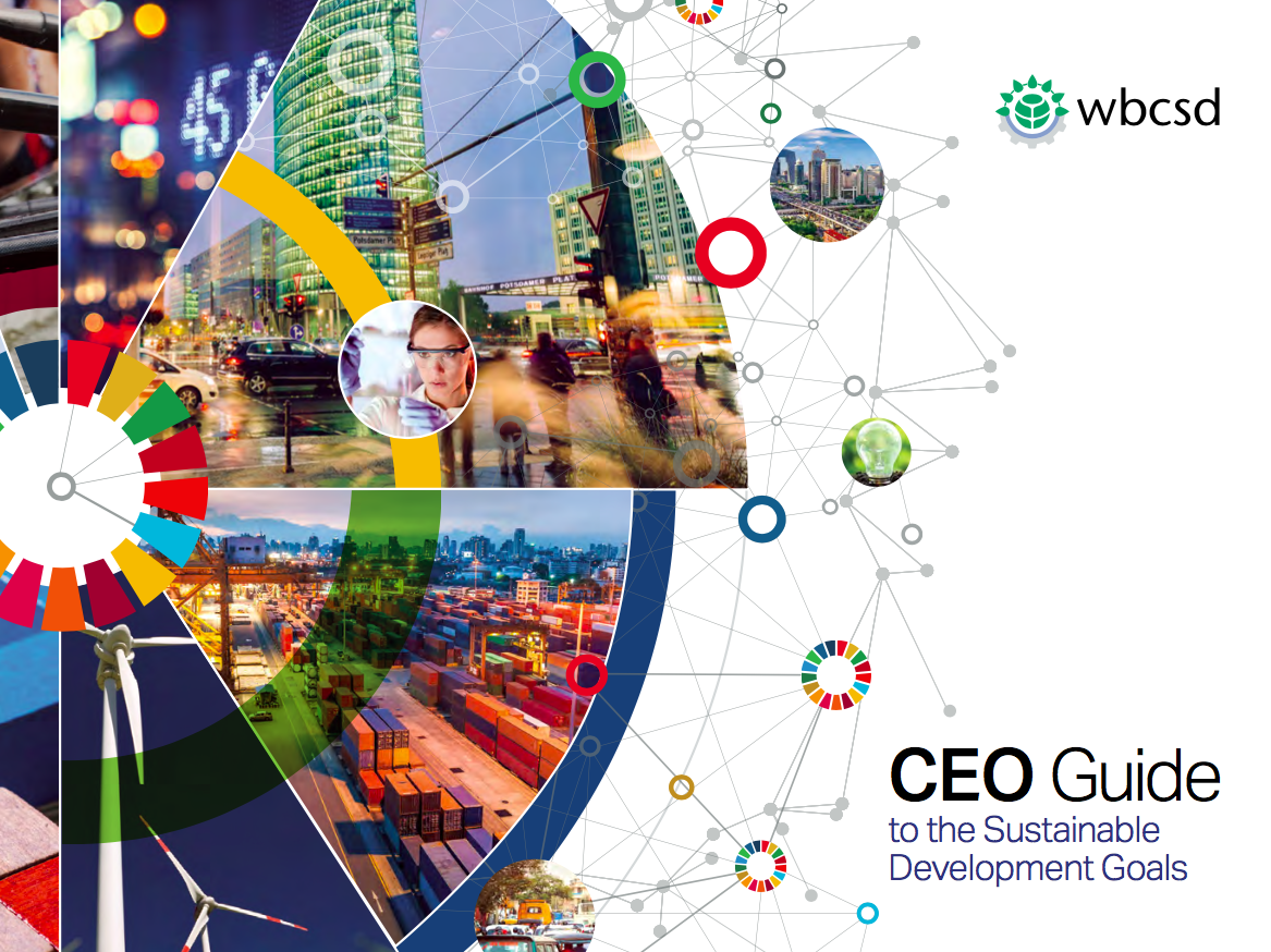 CEO Guide to the SDGs